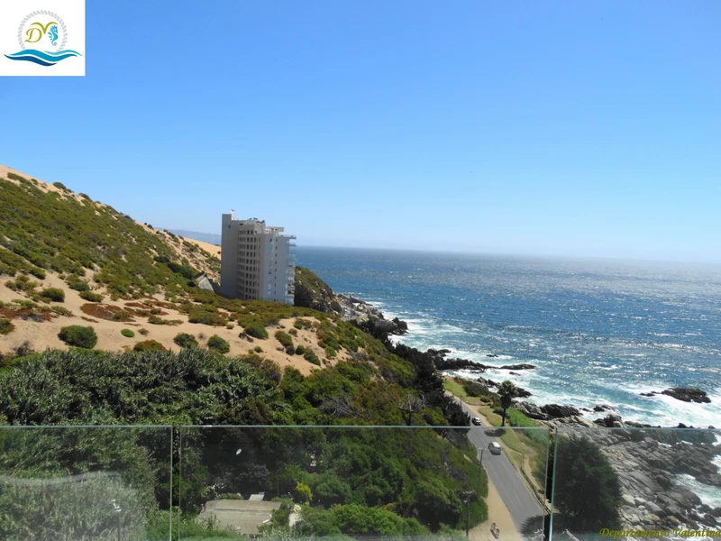 Arriendo temporario de departamento en Conc&oacute;n