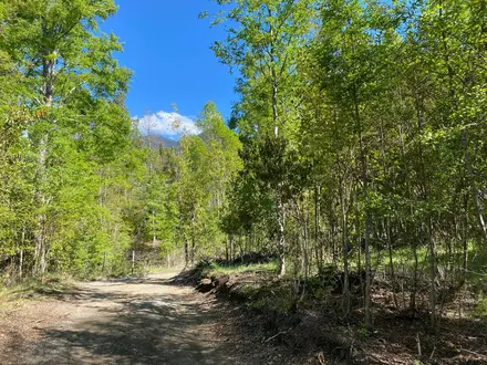 Arriendo temporario de casa em Cautín