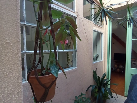 Alquiler temporario de casa en Caba