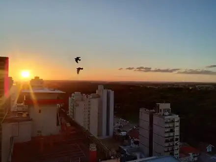Alquiler temporario de apartamento em Necochea