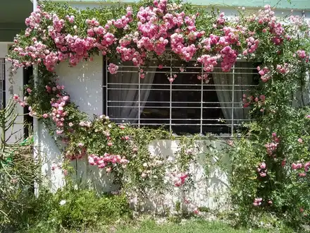 Alquiler temporario de apartamento em Villa gesell