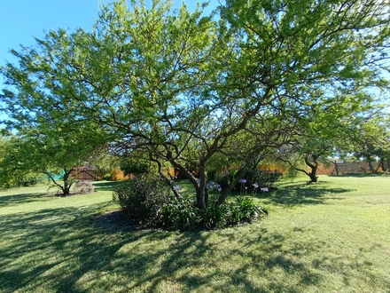 Alquiler temporario de casa quinta en Victoria