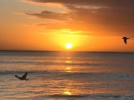 Arriendo temporario de apartamento em Viña del mar