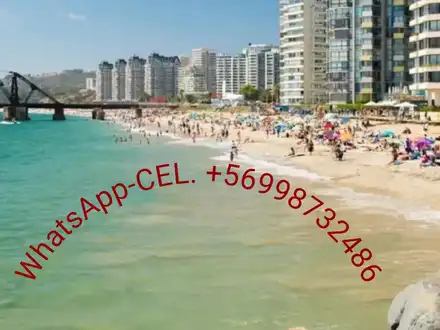 Arriendo temporario de apartamento em Viña del mar