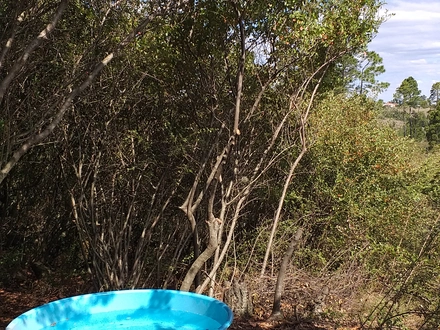 Alquiler temporario de cabana em Villa berna