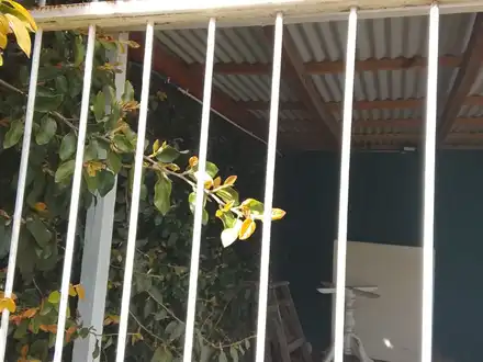 Alquiler temporario de casa em Mar del plata