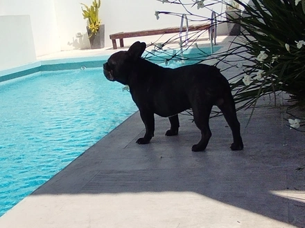 Alquiler temporario de casa em Quequén