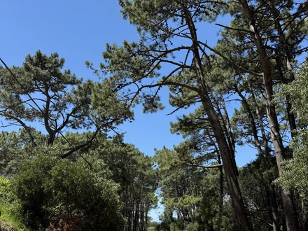 Alquiler temporario de casa em Mar azul