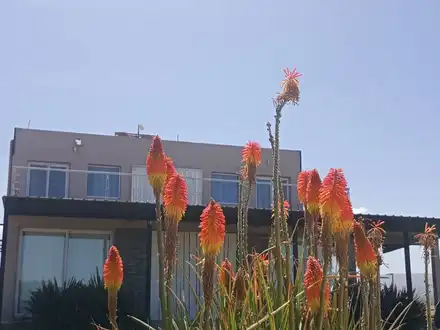 Alquiler temporario de apartamento em La estancia