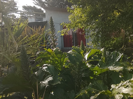Alquiler temporario de casa em Necochea