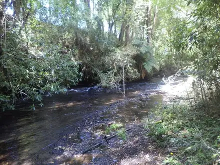Arriendo temporario de casa em Cautín