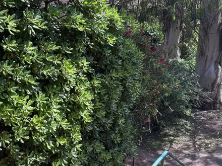 Alquiler temporario de apartamento em Pinamar