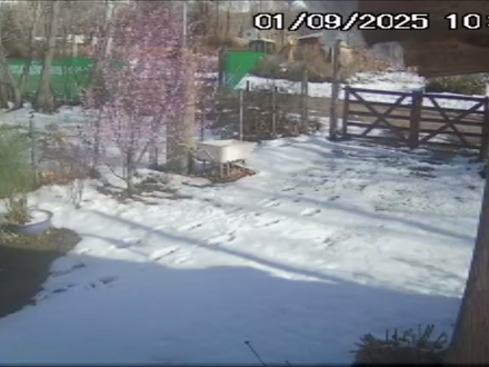 Alquiler temporario de caba&ntilde;a en Las vegas