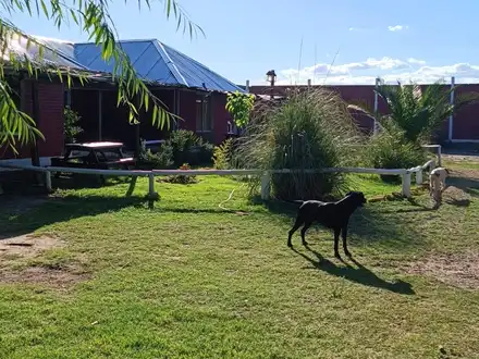 Alquiler temporario de cabana em San rafael