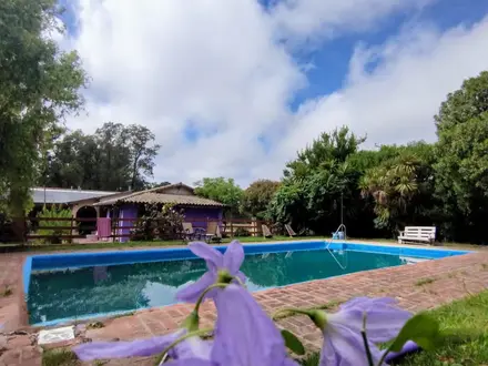 Alquiler temporario de caba&ntilde;a en Gral. alvarado