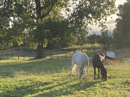 Alquiler temporario de casa de campo em Cerrillos