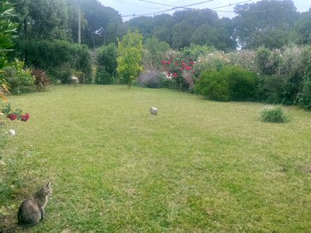 Alquiler temporario de casa em Mar del plata