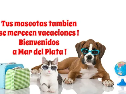 Alquiler temporario de apartamento em Mar del plata