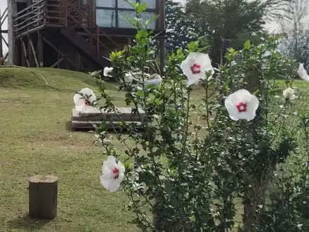 Alquiler temporario de caba&ntilde;a en La estancia