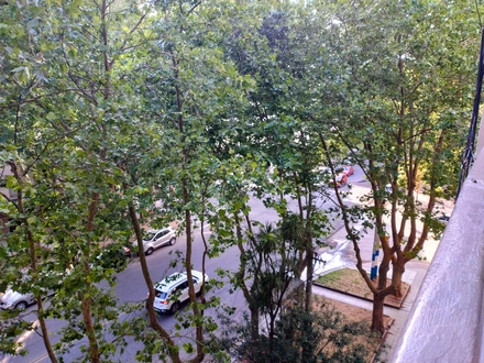 Alquiler temporario de casa en Mar del plata