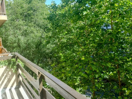 Alquiler temporario de casa en Mar del plata