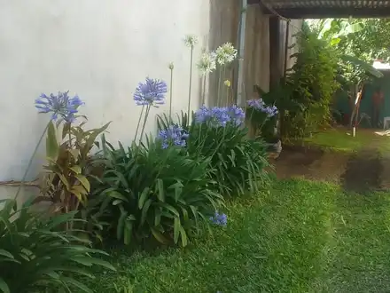Alquiler temporario de casa en Gualeguaychu