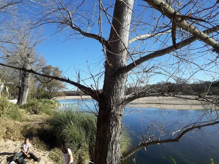 Alquiler temporario de departamento en Arroyo de los patos