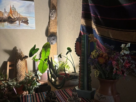 Alquiler temporario de hoster&iacute;a en Humahuaca