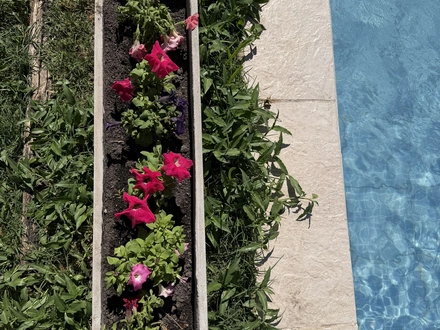 Alquiler temporario de departamento en Mendoza ciudad