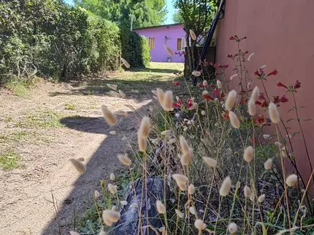 Alquiler temporario de departamento en San clemente del tuy&uacute;