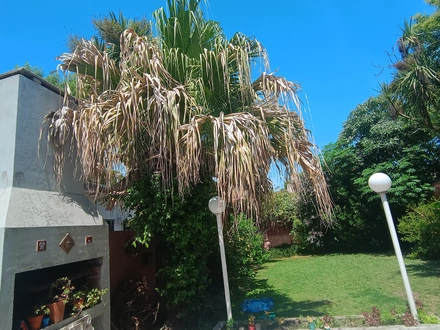 Alquiler temporario de casa en Mar del plata
