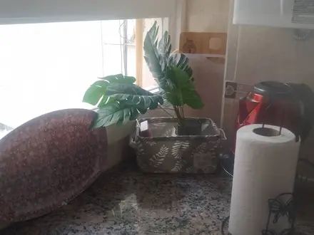 Alquiler temporario de departamento en Mar del plata