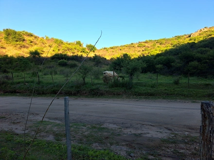 Alquiler temporario de caba&ntilde;a en El trapiche