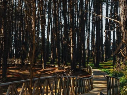 , Arriendo temporario de caba&ntilde;a en Algarrobos,