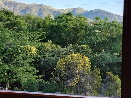 Alquiler temporario de casa en Villa giardino