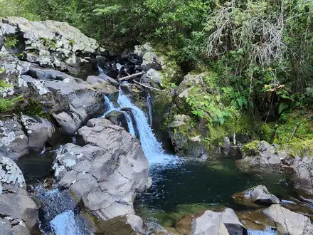 Arriendo temporario de casa en Pucon