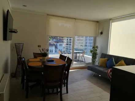 Arriendo temporario de departamento en Vi&ntilde;a del mar