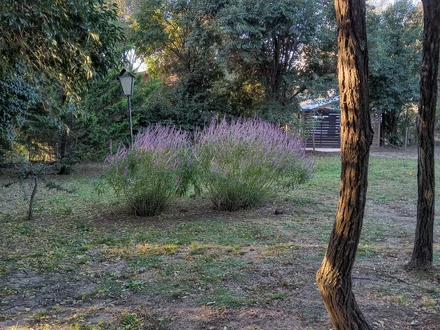 Alquiler temporario de casa en Calamuchita