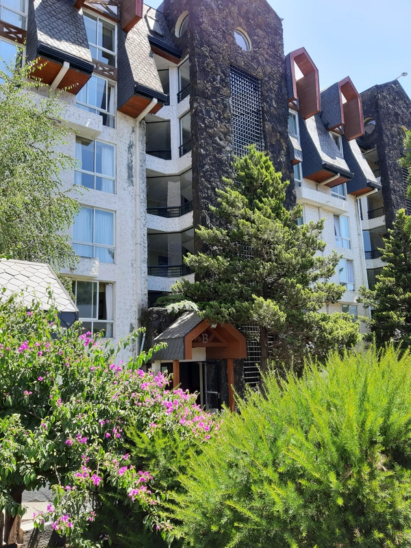 Arriendo temporario de departamento en Puc&oacute;n