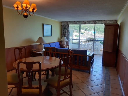Arriendo temporario de departamento en Puc&oacute;n