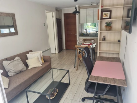 Arriendo temporario de departamento en Pucon
