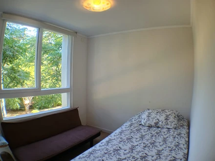 Arriendo temporario de departamento en Papudo