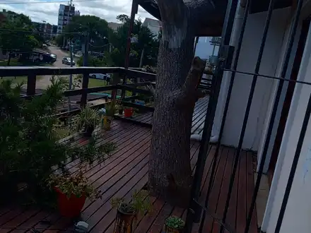 Alquiler temporario de casa en Villa gesell
