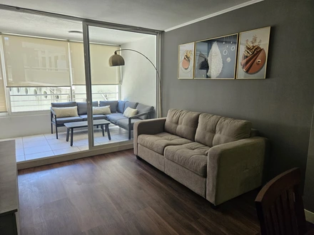 Arriendo temporario de departamento en Vi&ntilde;a del mar