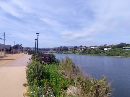 Arriendo temporario de casa en Laguna de zapallar