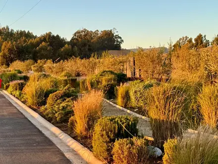 Arriendo temporario de casa en Puchuncavi