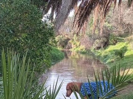 Alquiler temporario de casa en Mar del sud