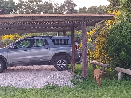 Alquiler temporario de casa en Mar del sud