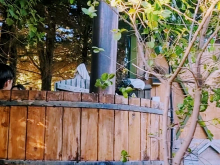 Arriendo temporario de caba&ntilde;a en Cajon del maipo