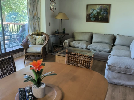 Arriendo temporario de departamento en Pucon
